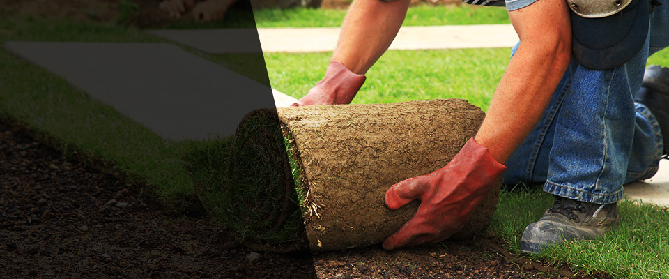 Elizabeth City Landscapers